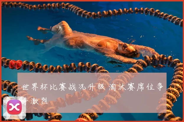 世界杯比赛战况升级 淘汰赛席位争夺激烈