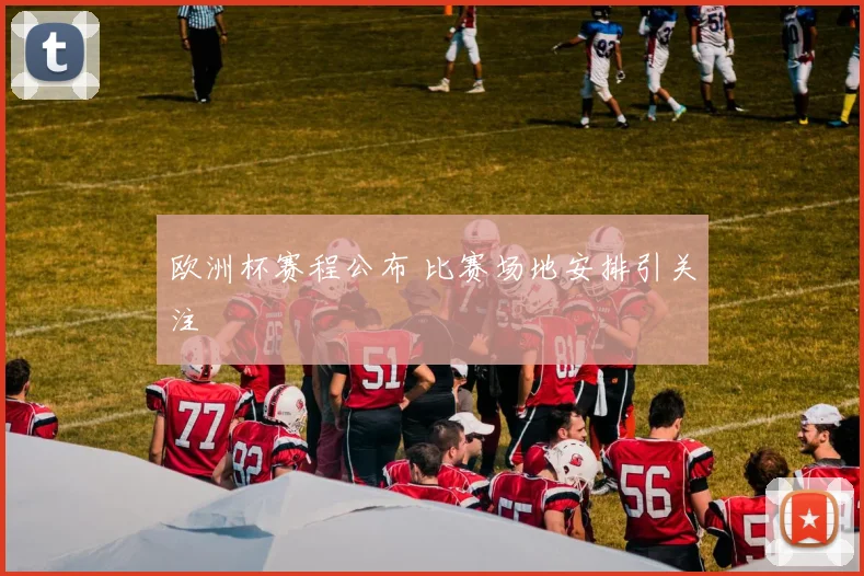 欧洲杯赛程公布 比赛场地安排引关注